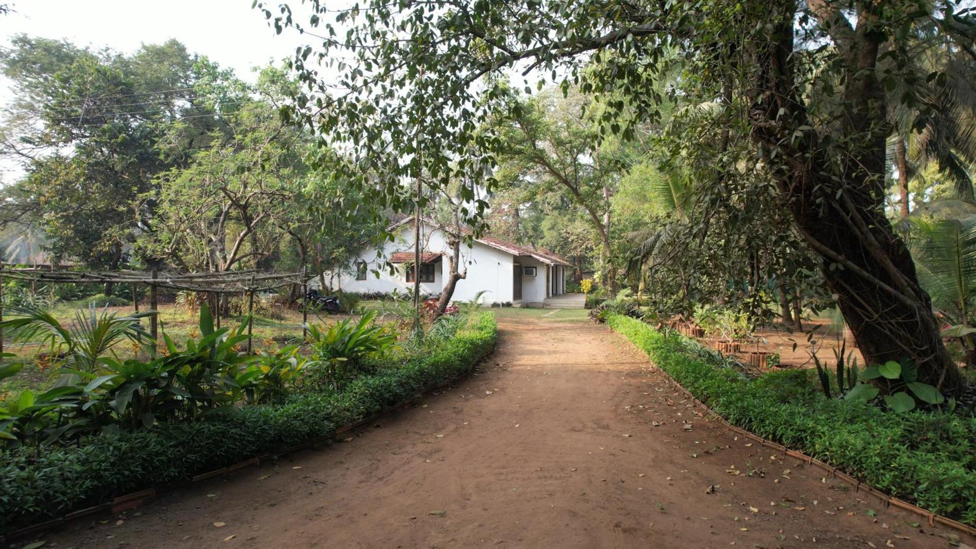 Banyan House - Luxurious 4 Bedroom Villa On One Acre, Near The Beach Nagaon (Maharashtra) Exterior foto