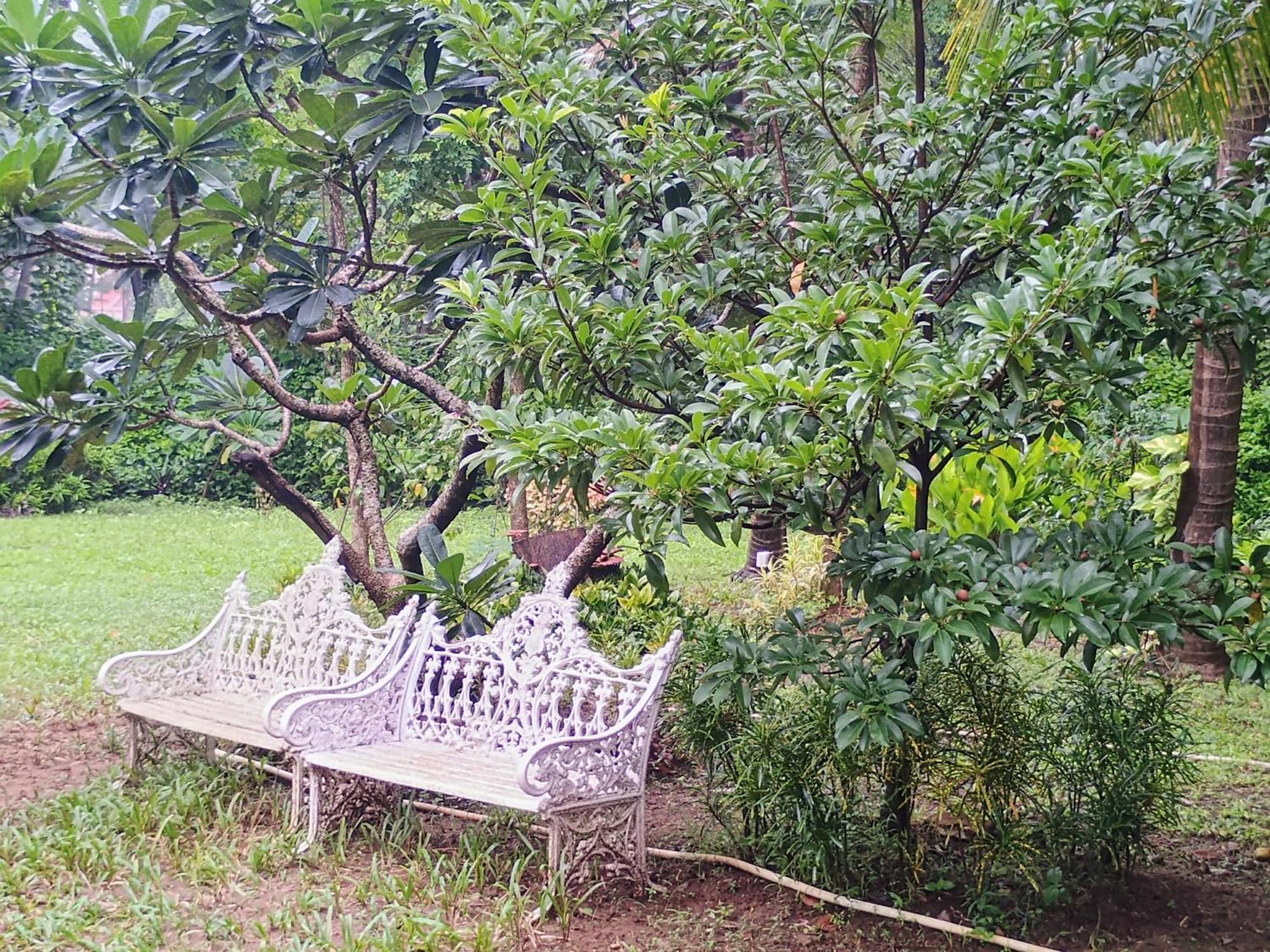 Banyan House - Luxurious 4 Bedroom Villa On One Acre, Near The Beach Nagaon (Maharashtra) Exterior foto
